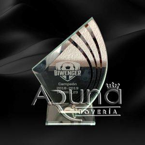 Trofeos en vidrio y/o cristal